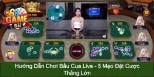 Bầu cua live